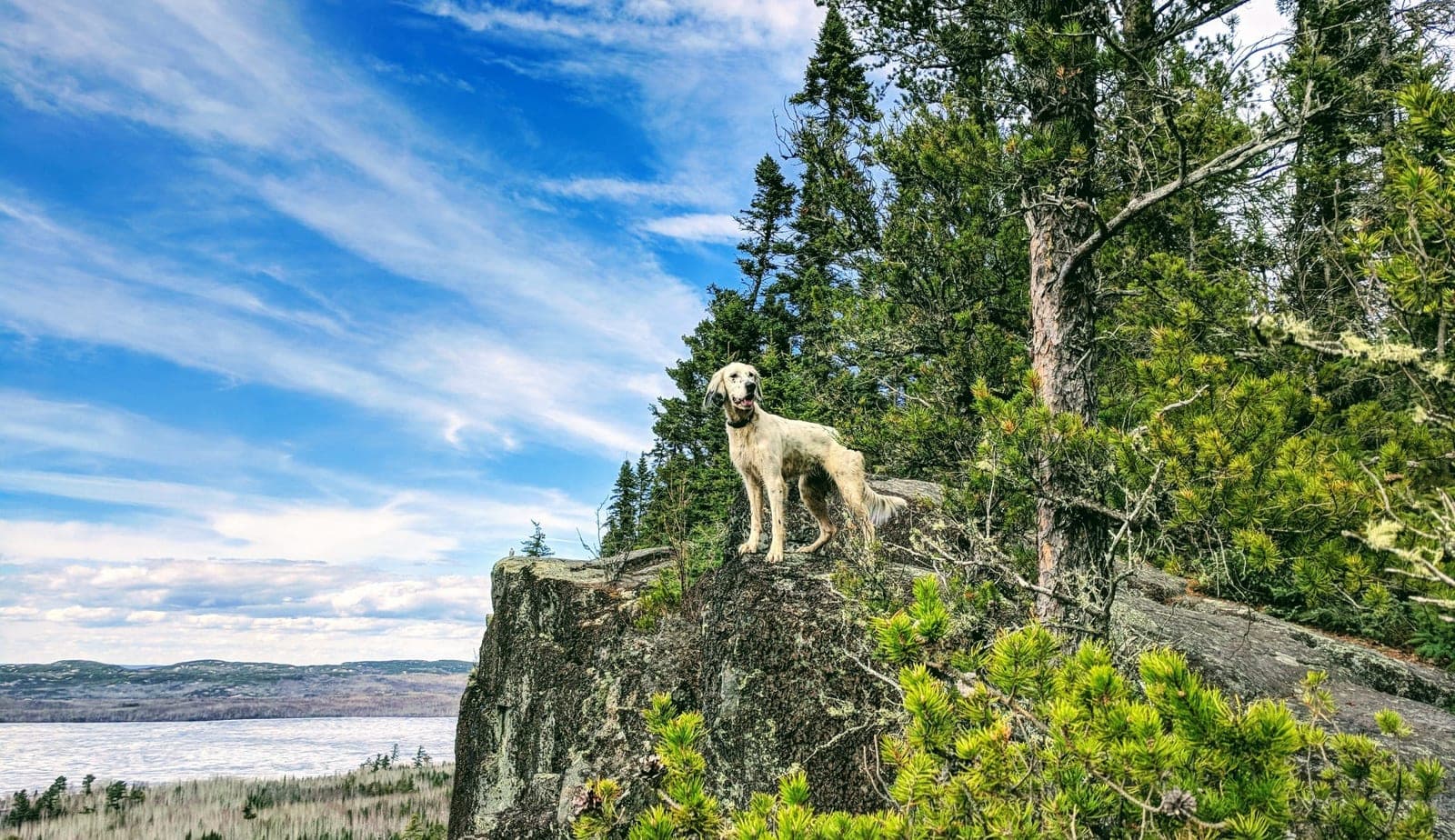 Gunflint Lodge in Grand Marais, MN