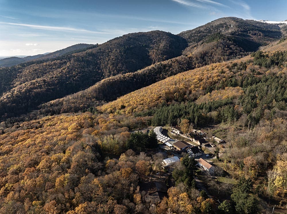 Domaine du Hirtz in Wattwiller, Alsace