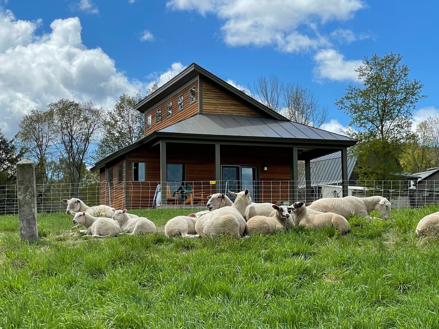 Fat Sheep Farm & Cabins in Hartland, VT